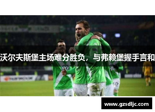 沃尔夫斯堡主场难分胜负，与弗赖堡握手言和